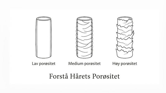 Hva er egentlig hårporøsitet – og hvorfor er det nøkkelen til gode hårdager?